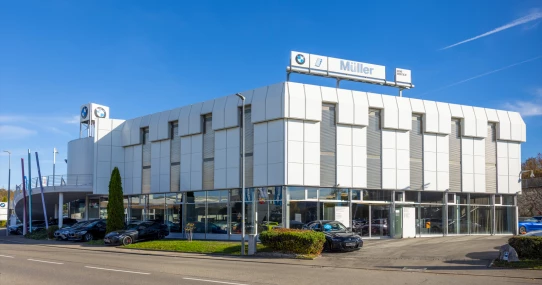 Leonberg (MINI-Service)